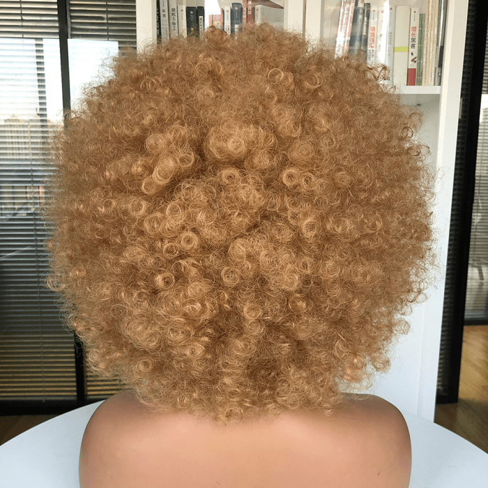 AILUXY Châtain Afro Curl Courte Perruque 100% Cheveux Humains