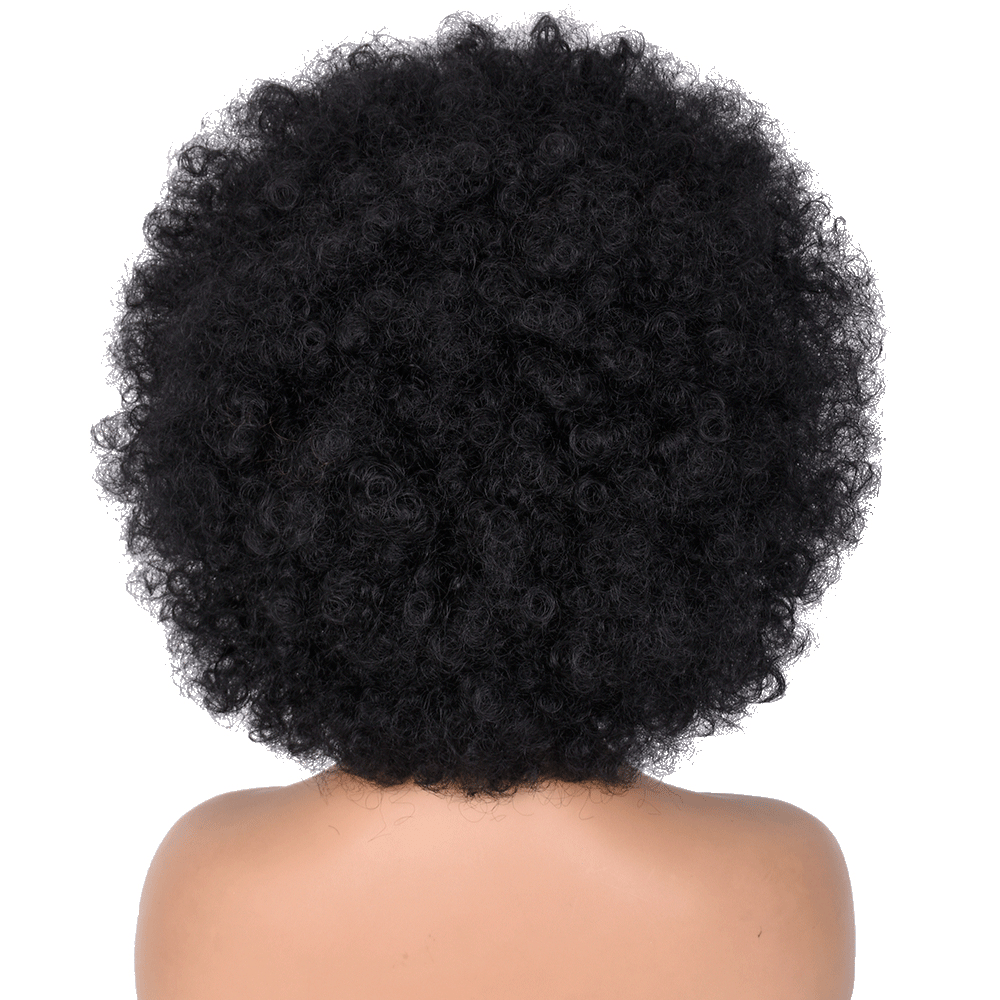 AILUXY Afro Curl Noir Courte Perruque 100% Cheveux Humains