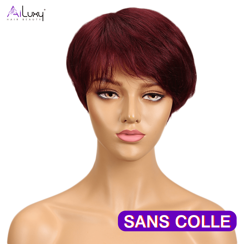 AILUXY Lisse Perruque 100% Cheveux Humains